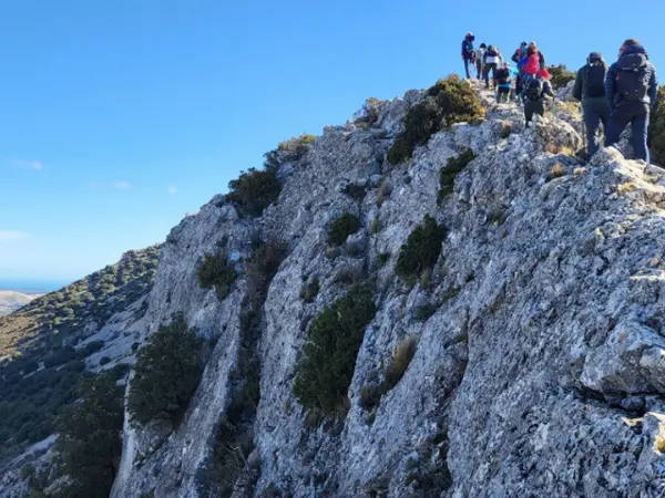 carrera de equipo